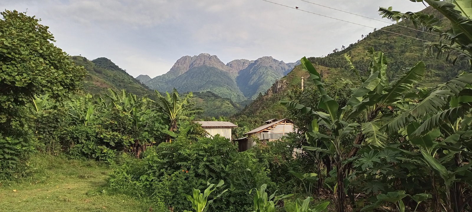 Rwenzori Trekking Homestay